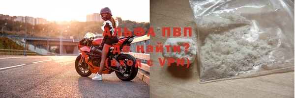 гидра Новодвинск