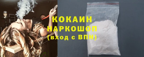 индика Алзамай