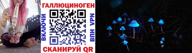 гидра маркетплейс  купить  сайты  Отрадная  Галлюциногенные грибы MAGIC MUSHROOMS 